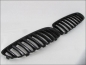 Preview: Fit on BMW GRILL Black Z4 E89 2009-