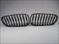 Preview: Fit on BMW Grille Carbon Look Z4 02-09