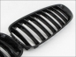 Preview: Fit on BMW GRILL Glossy Black Z4 E89 2009-