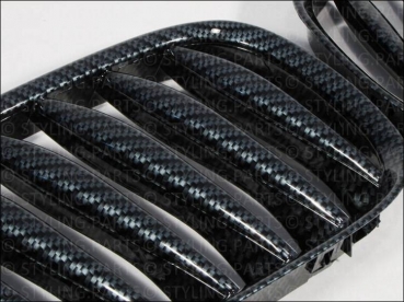 Fit on BMW Grille Carbon Look Z4 02-09