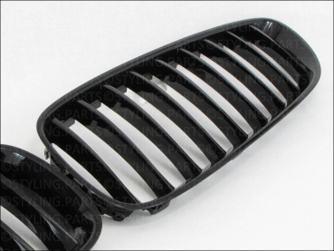Fit on BMW GRILL Glossy Black Z4 E89 2009-